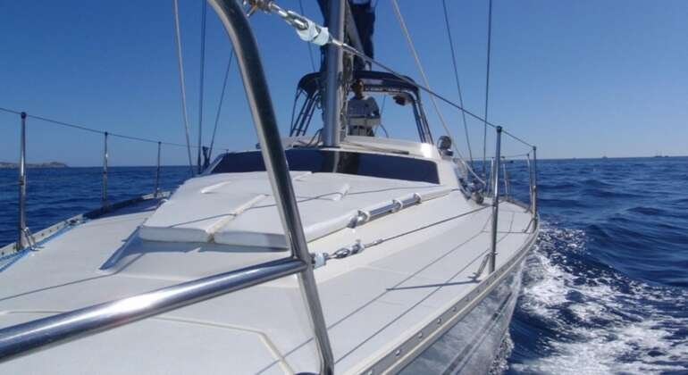 42 ft Sailing Yacht